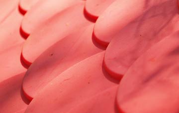 Wrangle Bank plastic roof costs