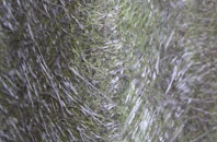 Wrangle Bank fibreglass roof work